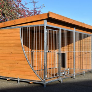 Grote hondenkennel van 10 m2