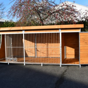 Hondenkennel Heavy 5x2 met dragende vloer