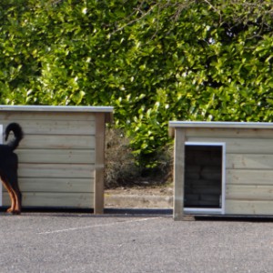 Hondenhok Wolf (l), naast z'n kleine broer hondenhok Ferro (r)