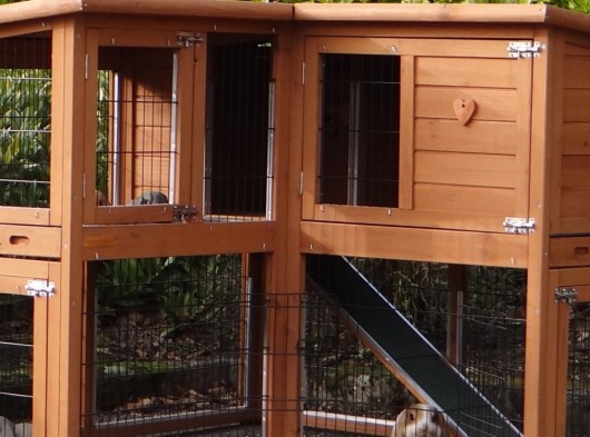 Plexiglas isolatieset · voor konijnenhok Maurice