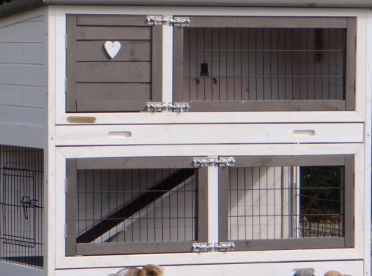 Plexiglas isolatieset · voor konijnenhok Adrian