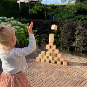 Ook te gebruiken als stapelblokken...