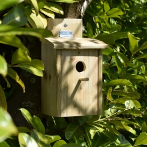 Mooi vogel nestkastje voor in uw achtertuin