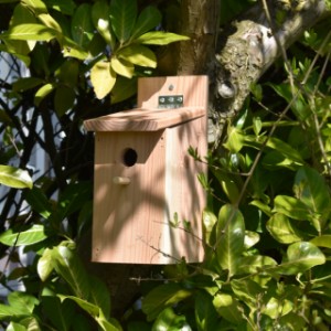 Bouw uw eigen vogelhuisje of nestkastje!