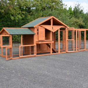 Kippenhok Holiday Medium met ren Space en Functional | met ruime deuren