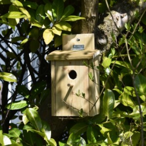 Nestkast Eco voor tuinvogels