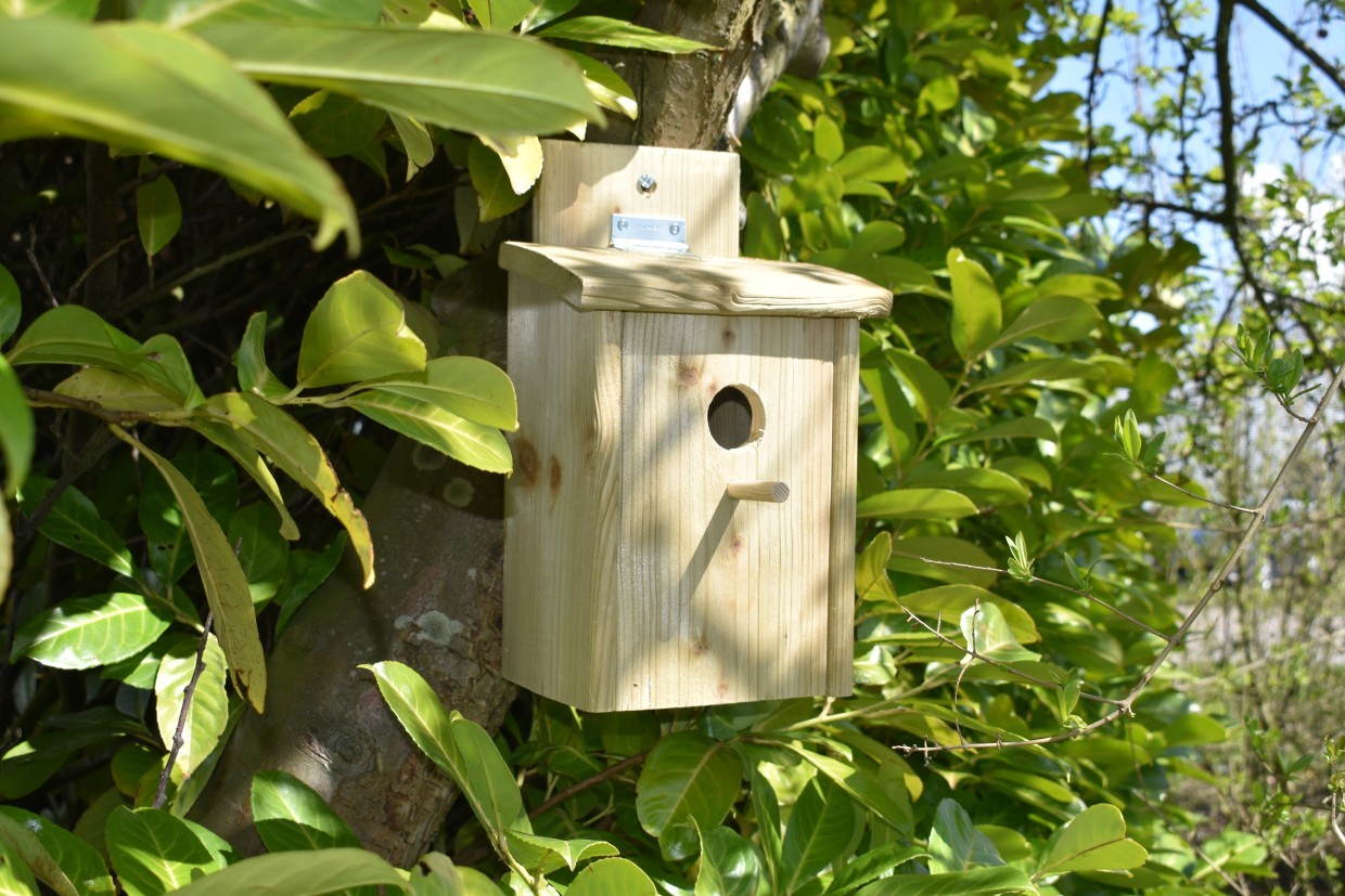 Vogelhuis Eco, houten nestkastje in de tuin.