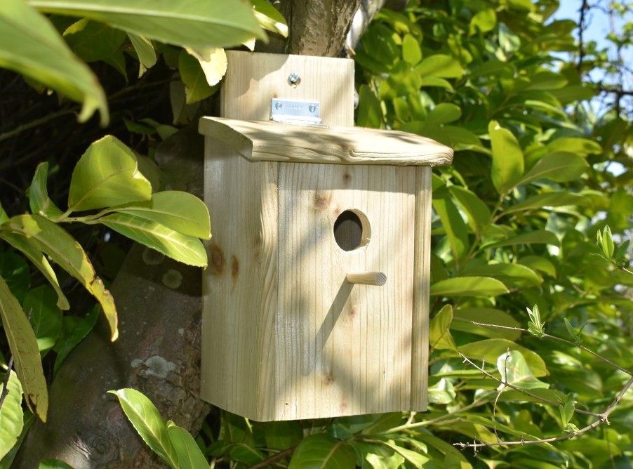 Machtig mout serveerster Vogelhuis Eco, mooi houten nestkastje in de tuin.