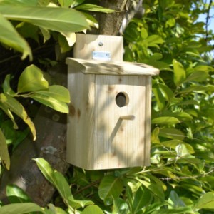 Vogelhuis Eco Vurenhout Geïmpregneerde Nestkast