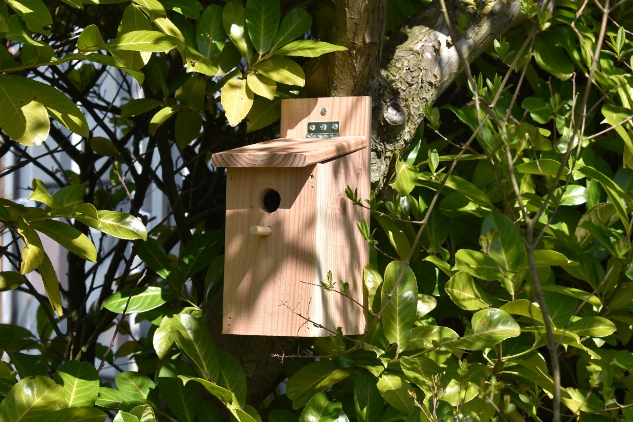 Boven hoofd en schouder Krijt Lima Vogelhuis Eco, mooi houten nestkastje in de tuin.