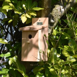 Vogelhuis Eco gemaakt van resthout