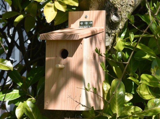 Vogelhuis Eco gemaakt van resthout