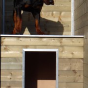 Het geïsoleerde nachthok Easy is een aanwinst voor uw kennel