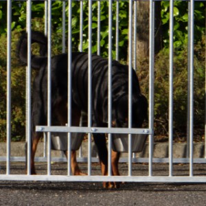 Het dubbele voederstel wordt inclusief montagemateriaal geleverd