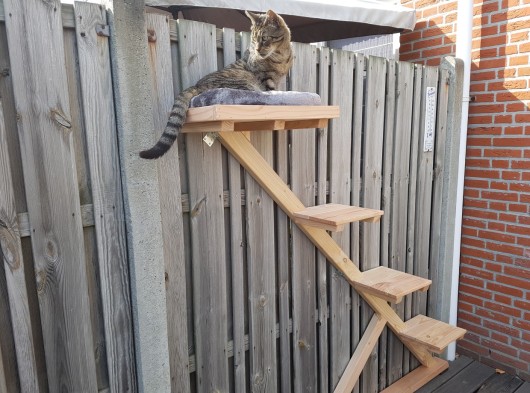 Klimpaal voor buiten aan de schutting