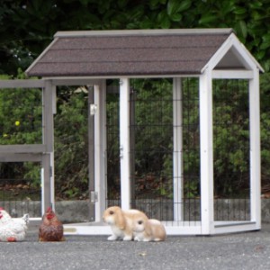 aanbouwren konijnenhok | kippenhok