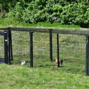 Dierenren Rectangle met gaasdak houten palen en poort.