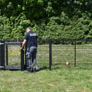 Grote dierenren met houten palen en houten poort