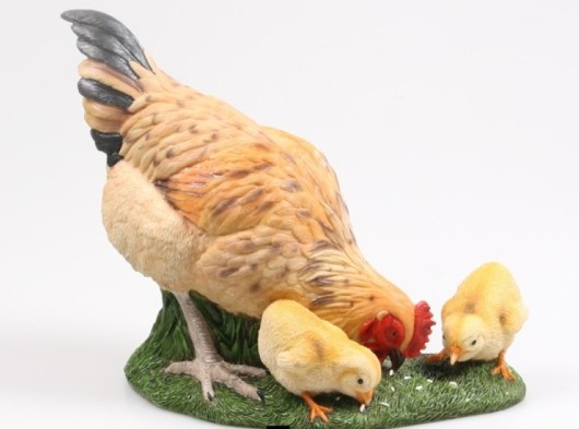 kip met pikkende kuikens