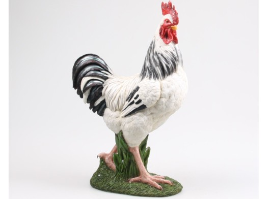 witte haan polystone
