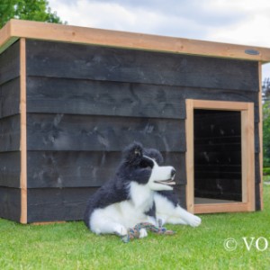 Hondenhok Bobby Voldux 164x115x110cm