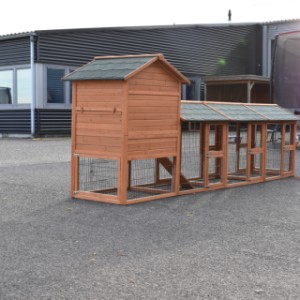 De grote combinatie van konijnenhok Prestige Medium biedt veel ruimte voor uw konijnen