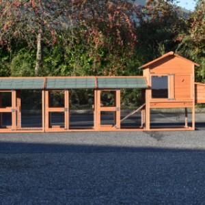 De combinatie kippenhok Prestige Medium is uitgebreid met 3 rennen en een legnest
