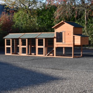 Konijnenhok Prestige Medium met 3 rennen en nestkast · 423x91x150cm