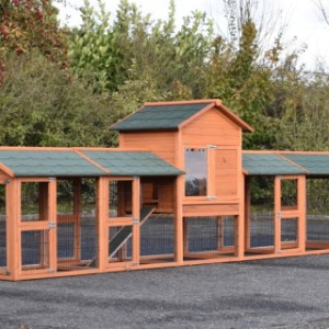 Konijnenhok Prestige Medium met 4 rennen · 493x91x150cm