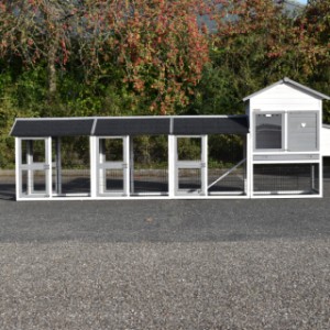 Het kippenhok Prestige Medium is uitgebreid met 3 rennen en een legnest