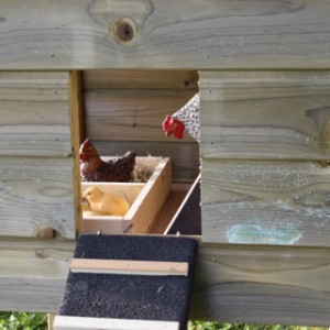 De hooiberg Rosalynn heeft een ruime opening voor uw kippen