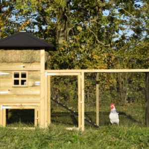 Het kippenhok hooiberg Rosanne is gemaakt van geïmpregneerd vurenhout