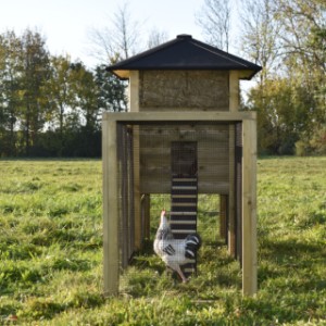 Een kijkje in de ren van hooiberg Rosanne