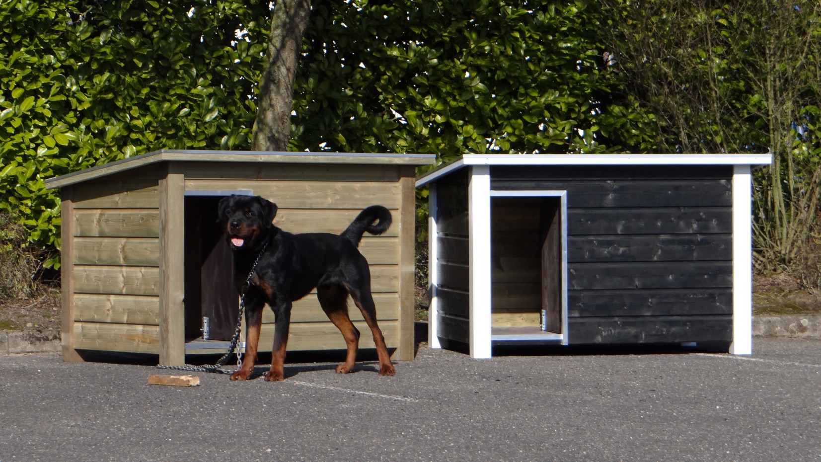 Bekijk de grote hondenhokken die geschikt zijn voor honden als Boxer, Duitse herder, Labrador en Rottweiler Hondenhok Wolf is geschikt voor een Rotweiler