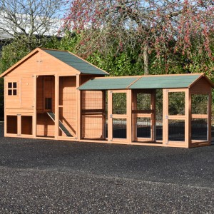 Kippenhok Holiday Large met 2 rennen 489x100x195cm