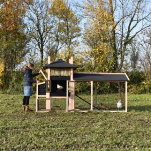 Het legnest is voorzien van een scharnierend dak, zodat u makkelijk eieren kunt rapen