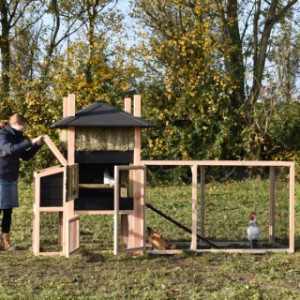 Het kippenhok Rosalynn is uitgebreid met een legnest