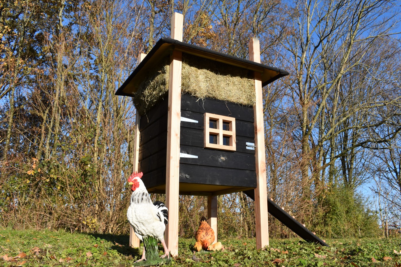 Kippenhok hooiberg Rosalynn