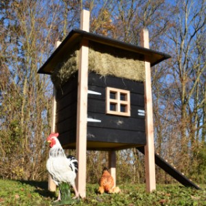 Het kippenhok Rosalynn is een aanwinst voor uw tuin!