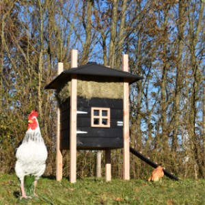 De hooiberg Rosalynn is een aanwinst voor uw kippen