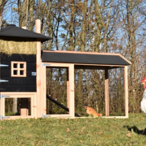 De hooiberg Rosalynn is geschikt voor 3 tot 5 kippen