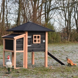 Kippenhok Rosy met legnest 137x114x145cm