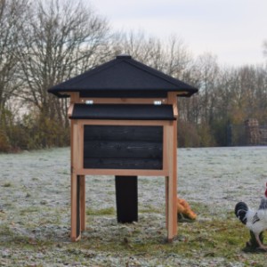 Het kippenhok Rosy is voorzien van een legnest