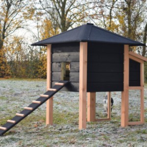 Het dak van kippenhok Rosy is voorzien van zwart dakleer