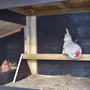Het nachthok biedt voldoende ruimte voor uw kippen