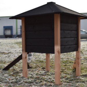 Het dak van kippenhok Rosy is voorzien van zwart dakleer