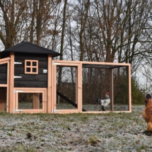 Het kippenhok Rosy is een aanwinst voor uw tuin