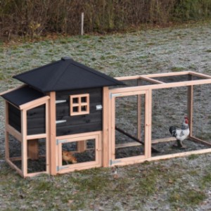 Kippenhok Rosy met legnest en aanbouwren 300x114x145cm