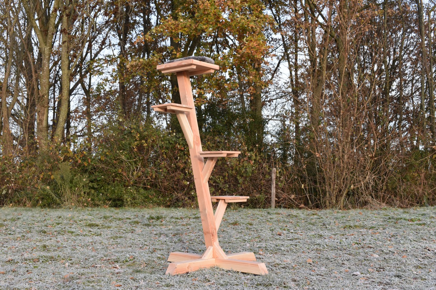 klimboom | Douglas hout | design