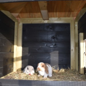 Het nachthok van konijnenhok Rosy is geschikt voor 2 à 4 konijnen